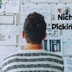 niche-picking-800x528-1.jpg