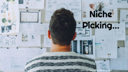 niche-picking-800x528-1.jpg